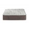 EA Signature Platinum Mattress