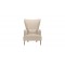 Alarik Modern Wing Chair