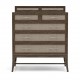 Maidstone Tall Chest with Gallery